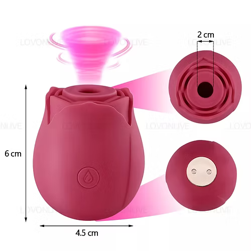 Clitoris Vibrator 10 Speeds Clit Sucking Massager Sex Toys for Women Ucwslwwzwlp