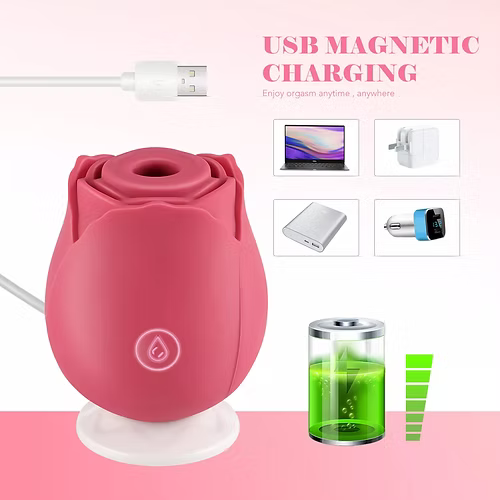 Clitoris Vibrator 10 Speeds Clit Sucking Massager Sex Toys for Women Ucwslwwzwlp